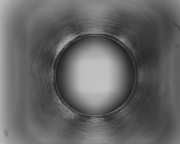 X0000103231325200809041016
