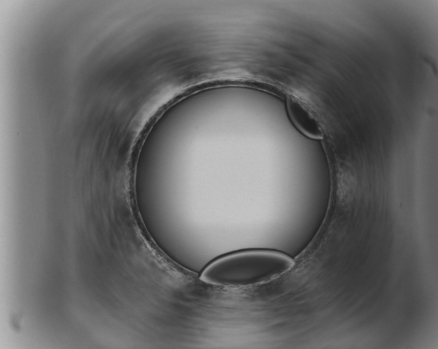 X0000103231326200809041016