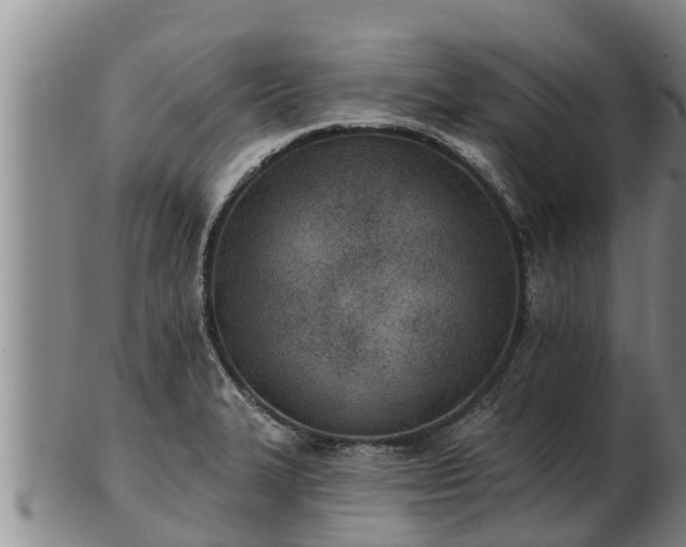X0000103231327200809041016