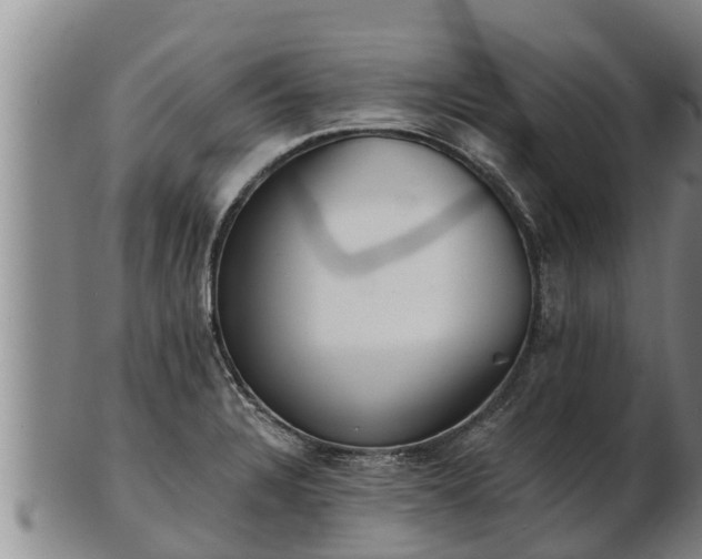 X0000103231328200809041016