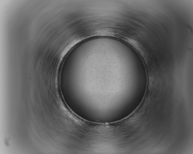 X0000103231331200809041016