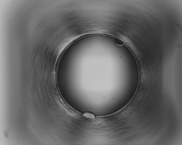 X0000103231332200809041016