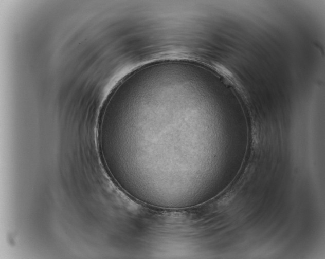 X0000103231334200809041016