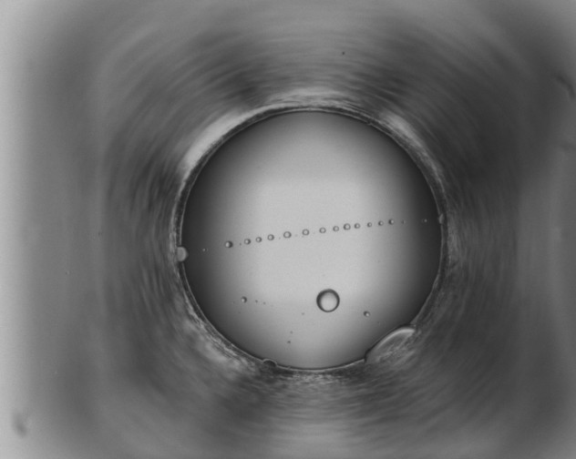 X0000103231336200809041016