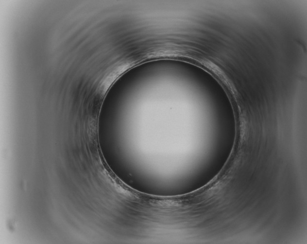 X0000103231337200809041016