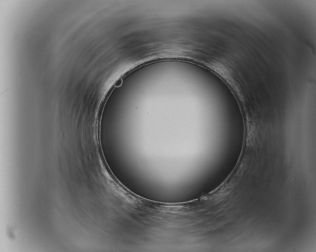 X0000103231342200809041016