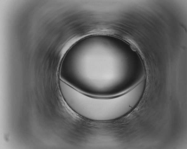 X0000103231344200809041016