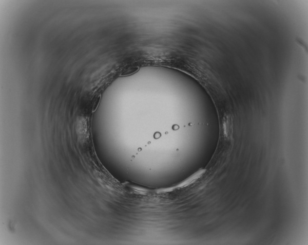 X0000103231347200809041016