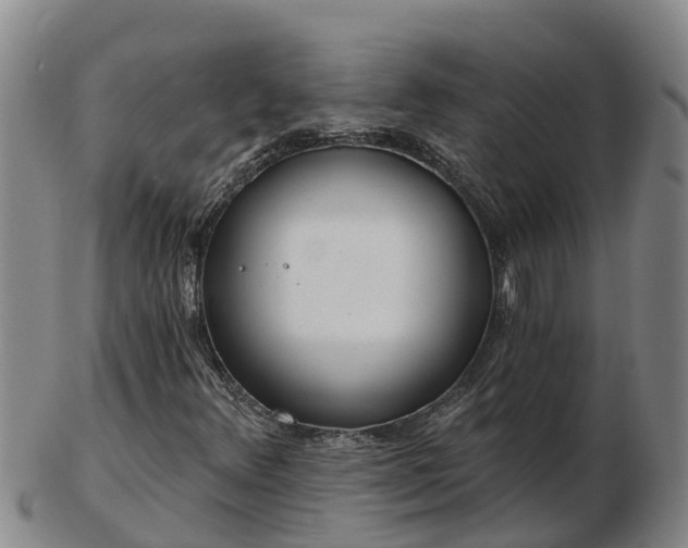 X0000103231348200809041016