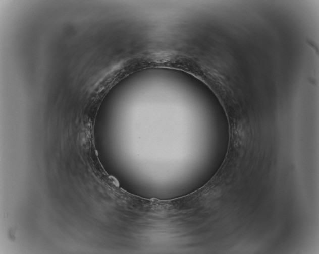 X0000103231349200809041016