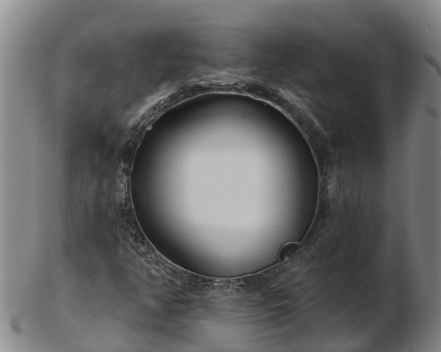 X0000103231350200809041016
