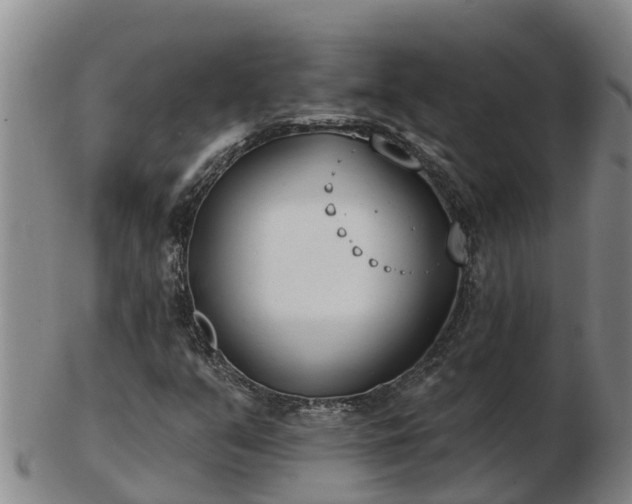 X0000103231351200809041016