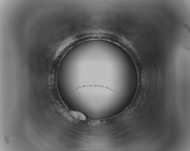 X0000103231352200809041016