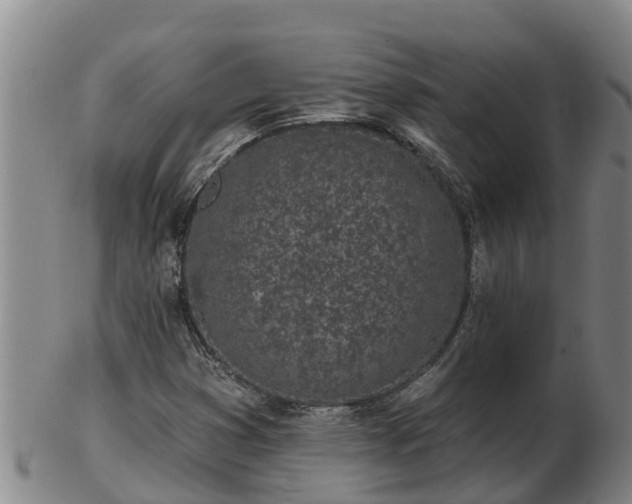 X0000103231353200809041016