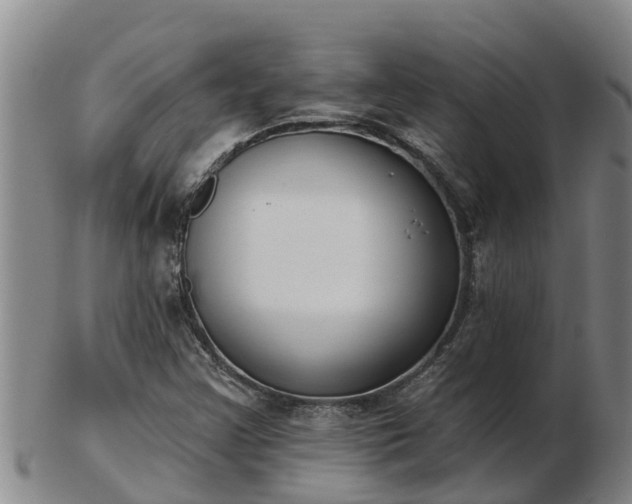 X0000103231355200809041016