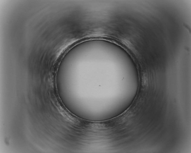 X0000103231356200809041016