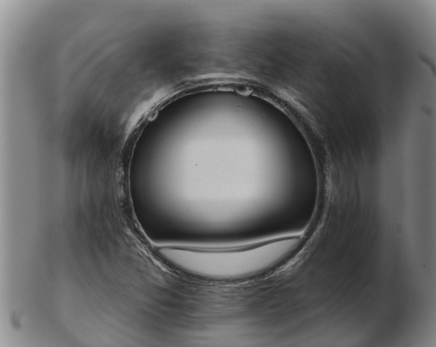 X0000103231357200809041016
