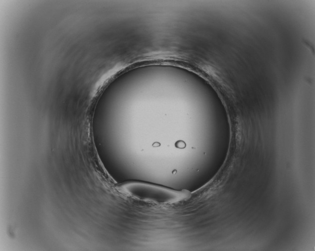 X0000103231358200809041016