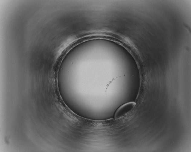 X0000103231360200809041016