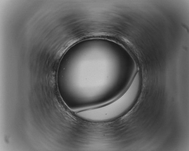 X0000103231361200809041016