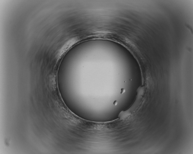 X0000103231362200809041016