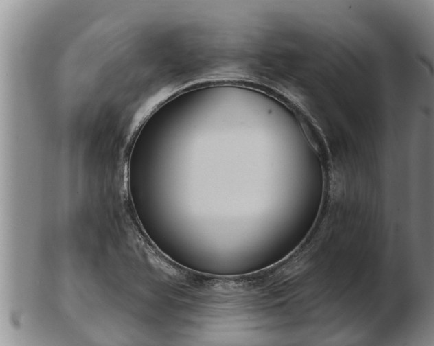 X0000103231366200809041015