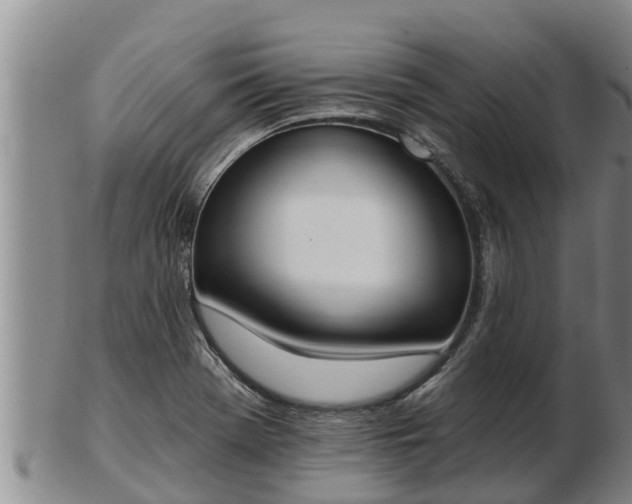X0000103231369200809041015