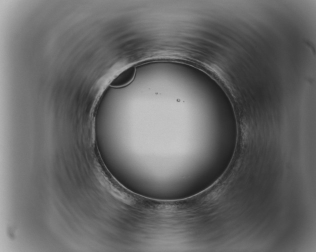 X0000103231371200809041015