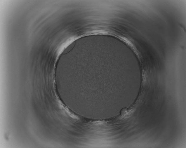 X0000103231373200809041015