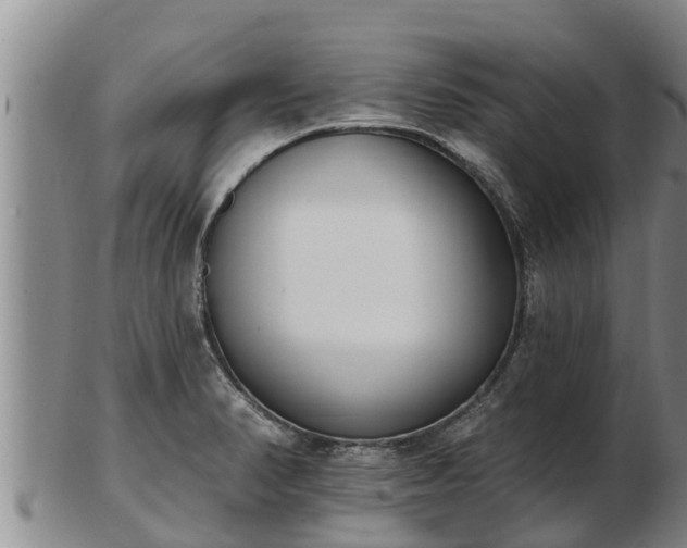 X0000103231374200809041015