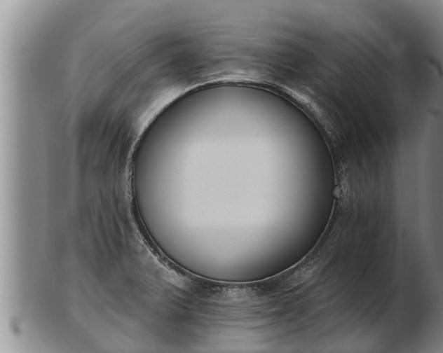 X0000103231375200809041015