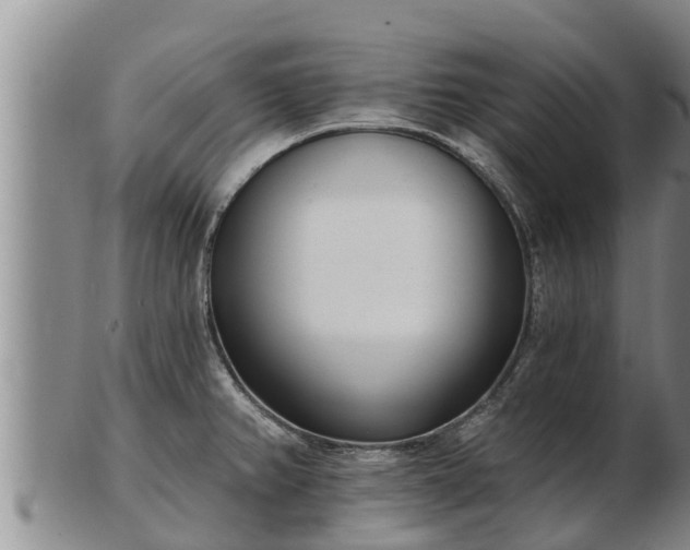 X0000103231382200809041015