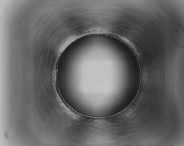 X0000103231383200809041015
