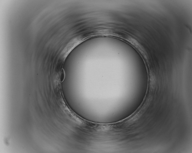 X0000103231385200809041015