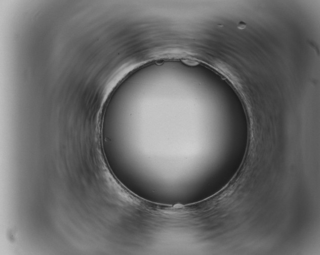 X0000103231392200809041015