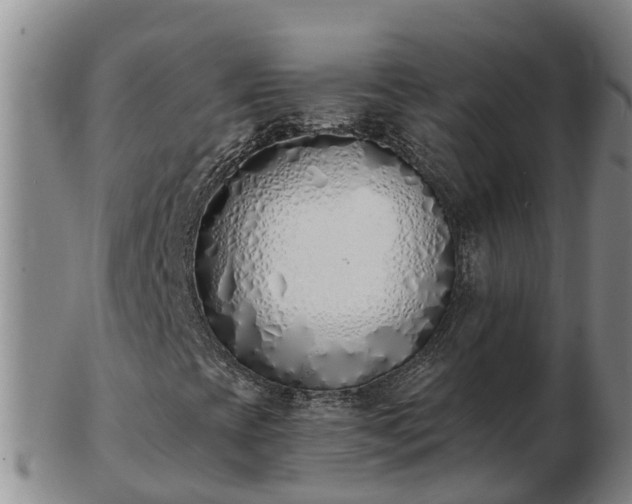 X0000103231393200809041014