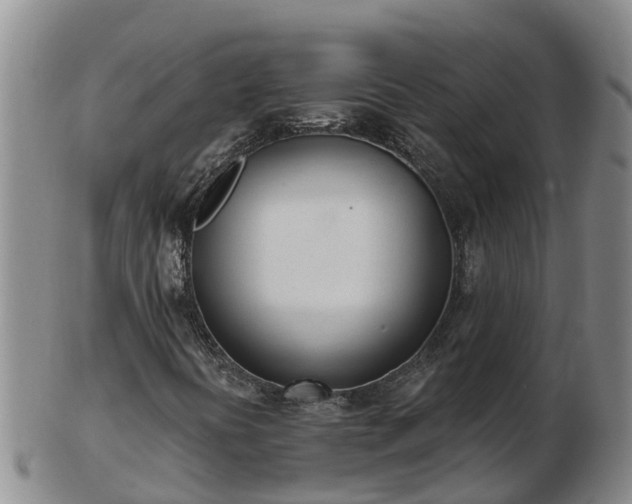X0000103231394200809041014