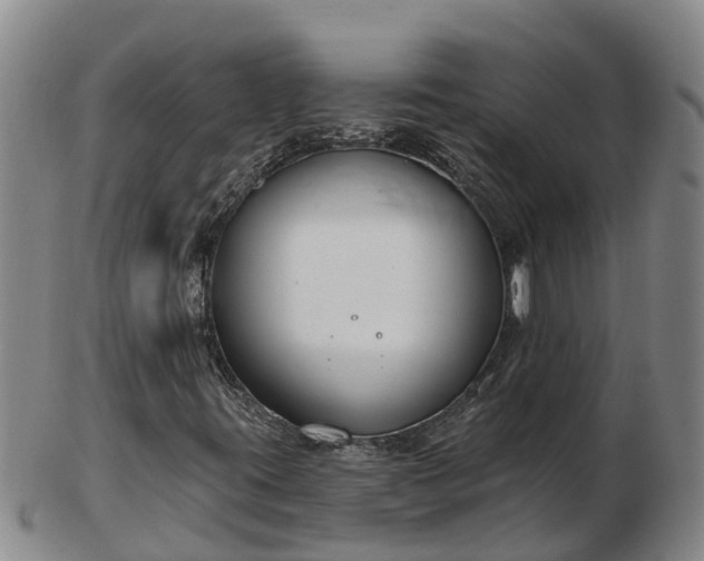 X0000103231395200809041014