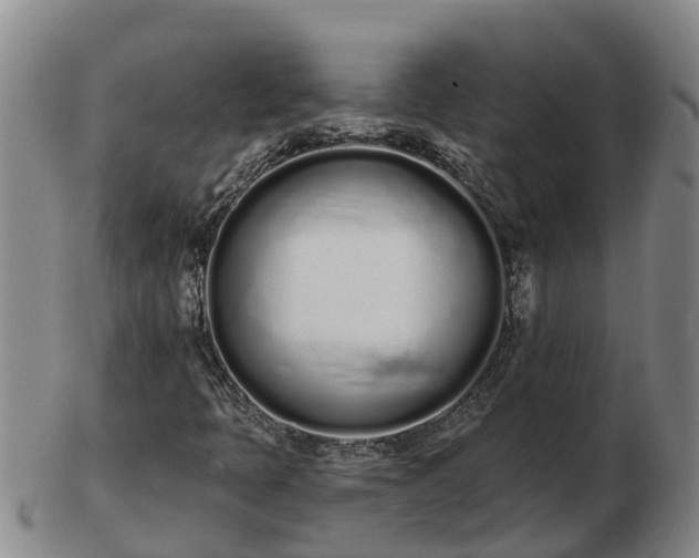X0000103231397200809041014