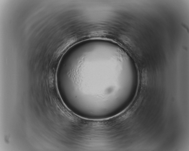 X0000103231401200809041014