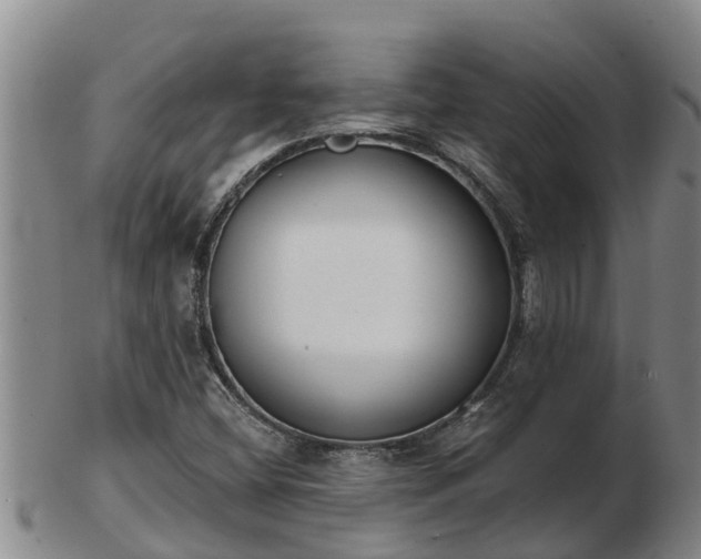 X0000103231404200809041014