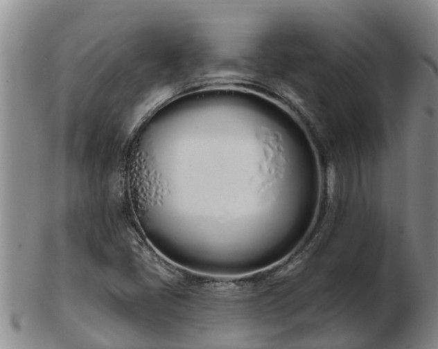 X0000103231405200809041014