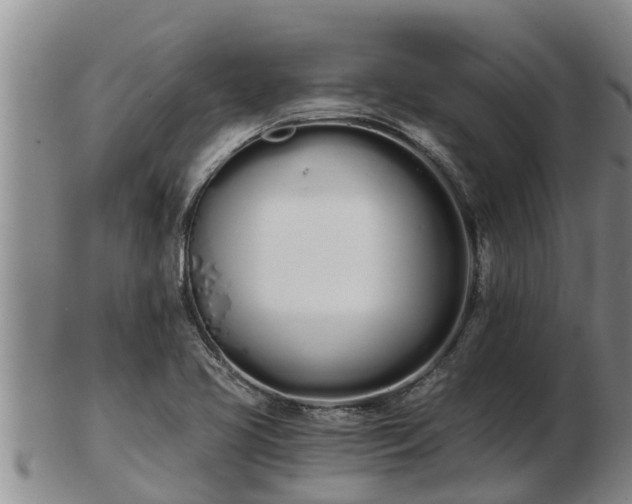 X0000103231413200809041015