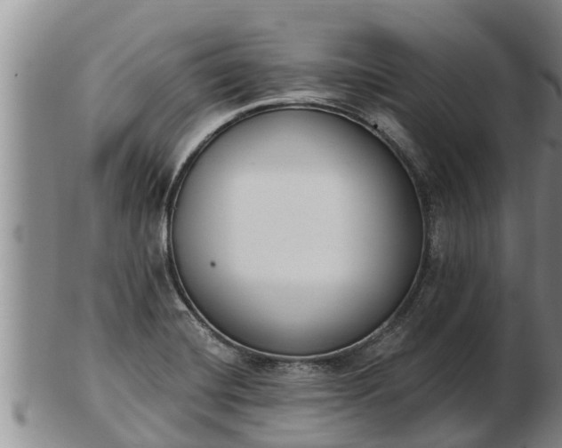 X0000103231420200809041015
