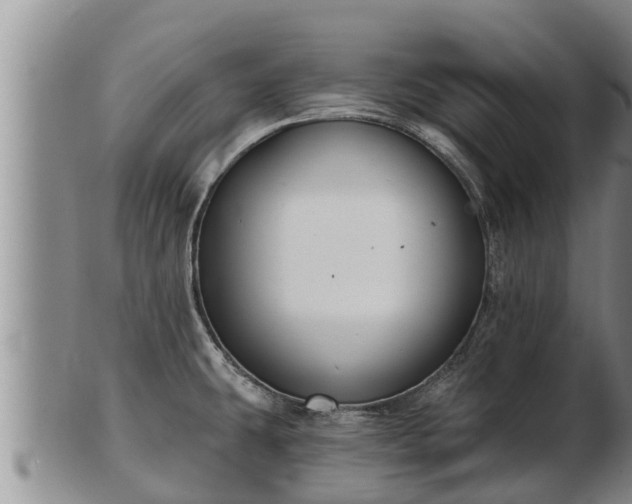 X0000103231431200809041015