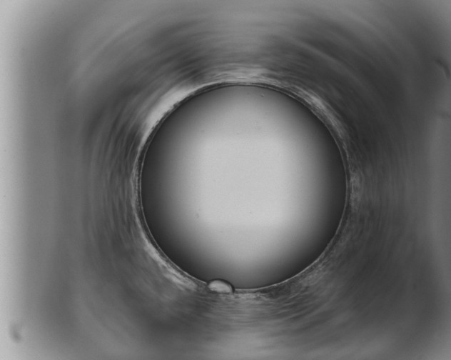 X0000103231432200809041015
