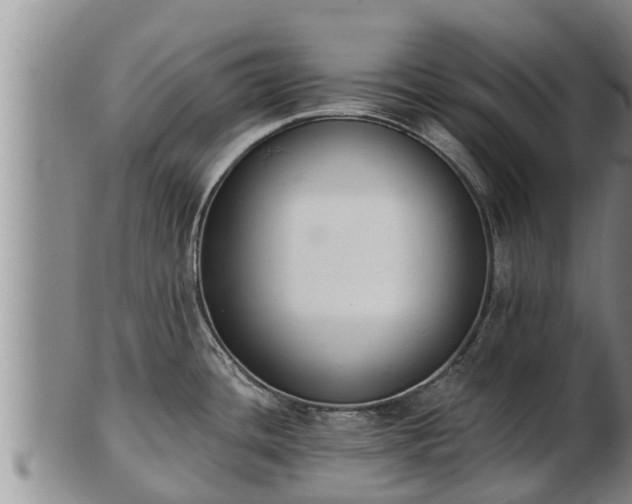 X0000103231436200809041015