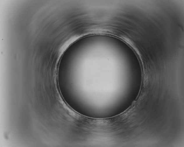 X0000103231437200809041015