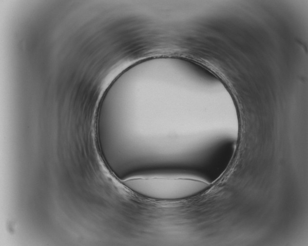 X0000103231440200809041015