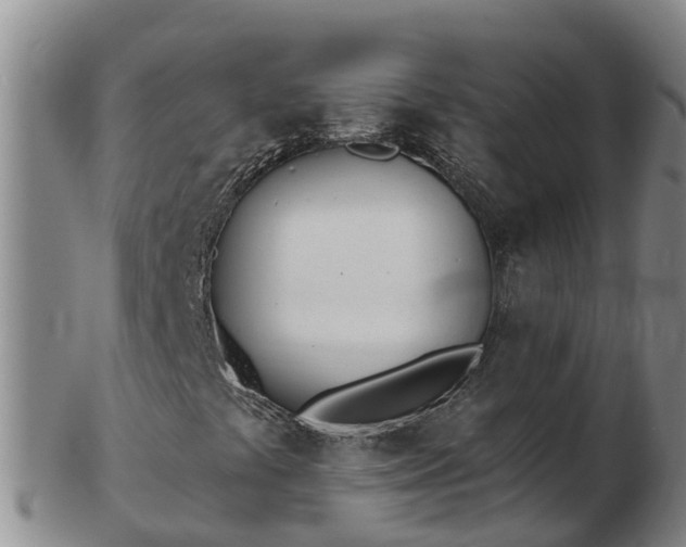 X0000103231441200809041014